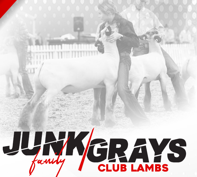 Junk Family/Gray's Club Lambs